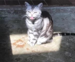 The_Sun_Tastes_Good_s.webp