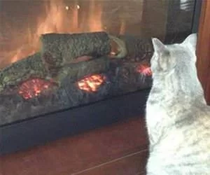 This_Fire_Is_Nice_s.webp