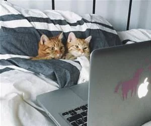 This_Is_A_Great_Movie_s.webp