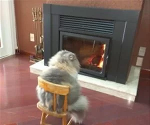 This_Is_A_Nice_Place_To_Sit_s.webp