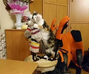 This_Is_Awesome5158_s.webp