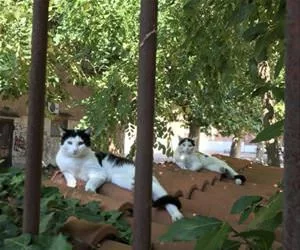 This_Is_Our_Neighborhood_s.webp
