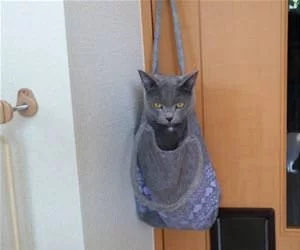 This_Will_Do_The_Trick_s.webp