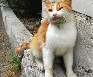 Ths_Is_For_Me_s.webp