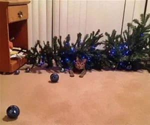 Took_It_Down_Already_s.webp