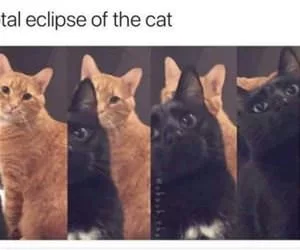 Total_Eclipse_s.webp
