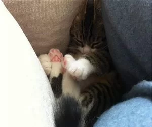 Tucked_In_Here_s.webp