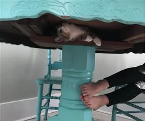 Under_The_Table_For_A_Snack_s.webp