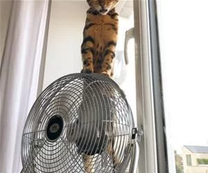 Up_On_The_Fan_s.webp