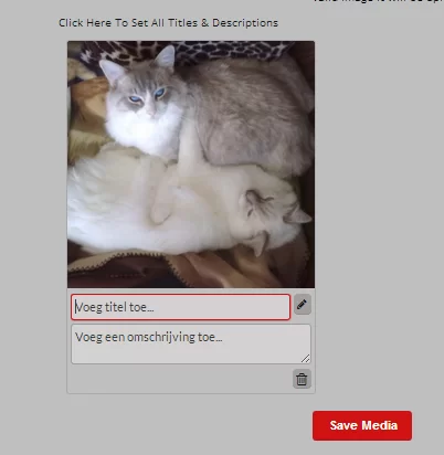 voeg title toe en klik op save media.webp