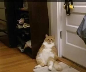 Waiting_Around_s.webp