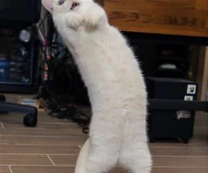 Wasuuuuup_s.webp