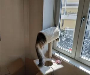 Watching_It_All_s.webp