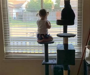 Watching_Outside_s.webp