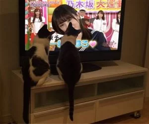 Watching_Some_Tv3045_s.webp