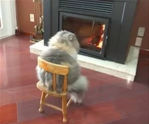 Watching_The_Fire_s.webp