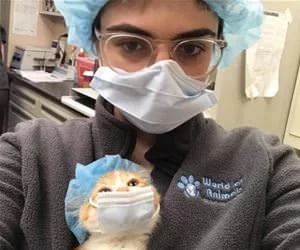 We_Are_Here_For_Surgery_s.webp