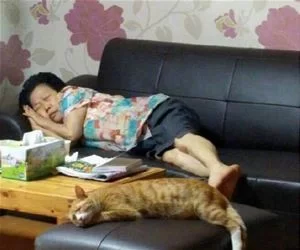 We_Are_Napping_s.webp