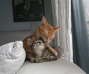 We_Are_Together_s.webp