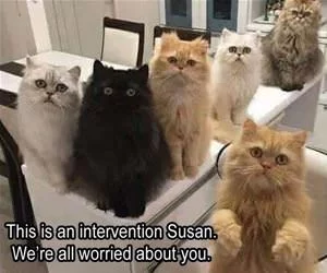We_Are_Worried_Susan_s.webp