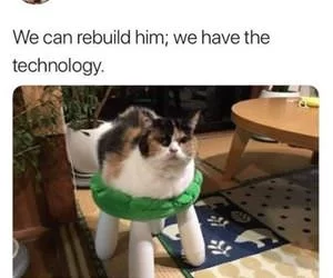 We_Can_Rebuild_s.webp