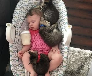We_Have_A_Baby_Now_s.webp