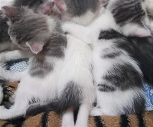 We_Keep_Warm_s.webp