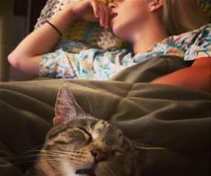 We_Sleep_The_Same_s.webp