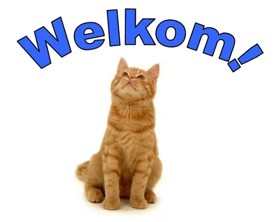welkom plaatje.webp