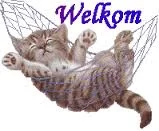 welkom.webp