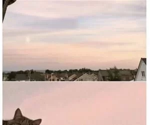 Well_Hello_There3897_s.webp