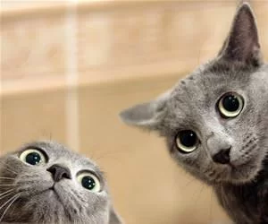Well_Hello_There6235_s.webp