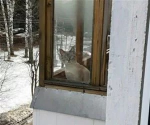 What_Are_You_Talking_About_s.webp