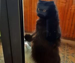 What_Is_In_There_s.webp