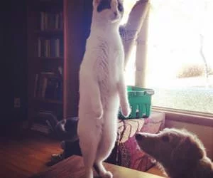 What_Is_Over_There_Right_Now_s.webp