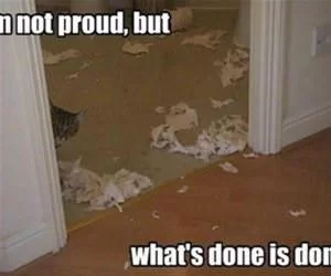 Whats_Done_Is_Done1251_s.webp