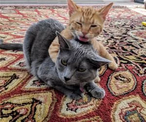 With_Each_Other_s.webp