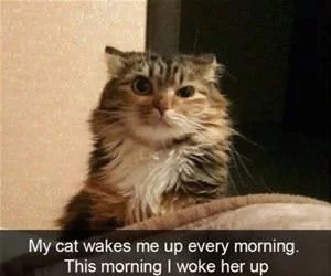 Woke_Her_Up_Today_s.webp