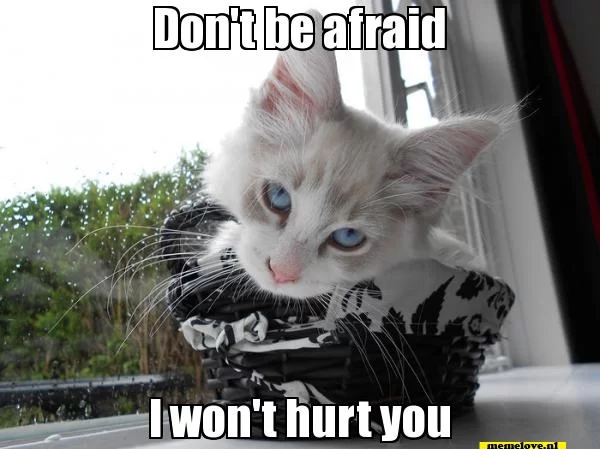 Won't hurt you.webp