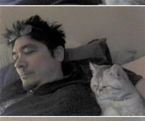 Yawning_Together_s.webp