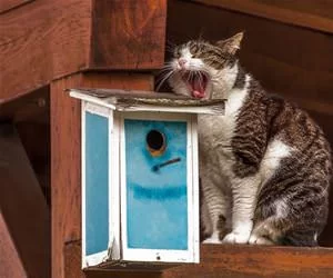 Yawnnnnnnnn_s.webp