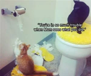 You_Are_In_Trouble_Now_s.webp