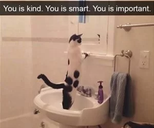 You_Is_Kind_s.webp