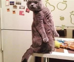 You_See_That801_s.webp