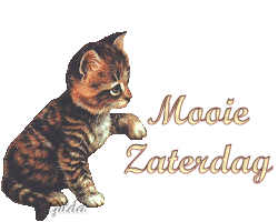 zaterdag 07.gif