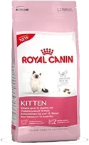 rk3000-kitten_verp.webp