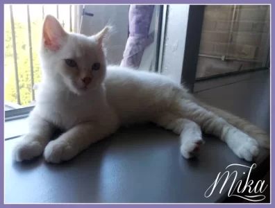 Mika050813.webp