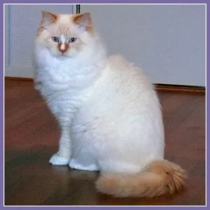 Mika011213.webp