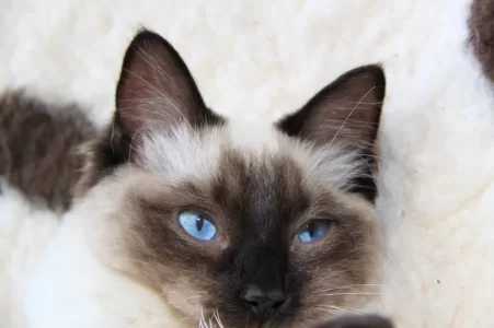 IMG_4036.webp