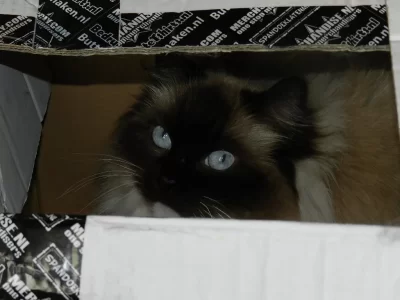DSCN5526.webp